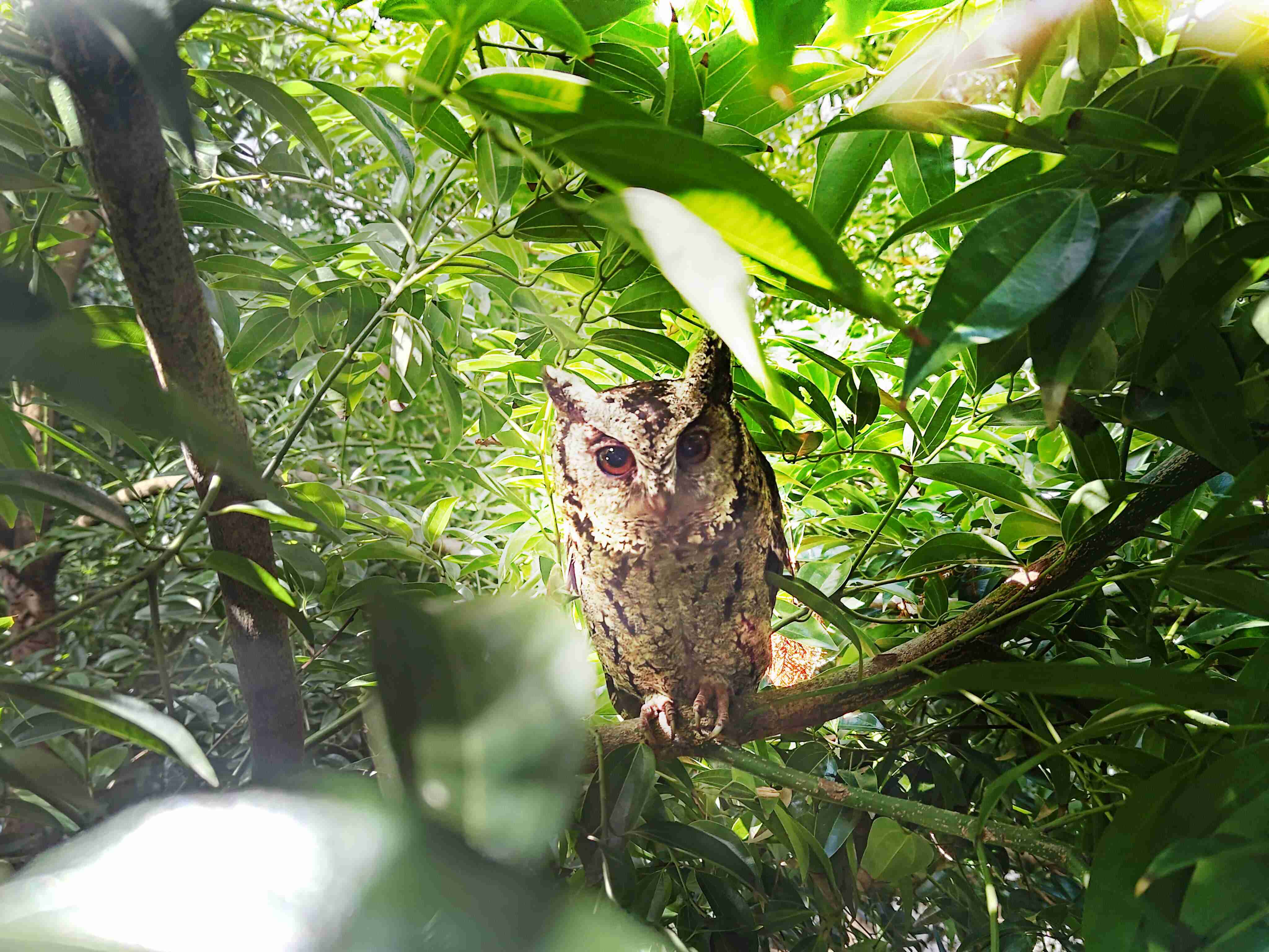 z6mg·人生就是博致力提倡净零绿生活，，，16年以来在全球各厂区植树逾百万棵，，造就各厂区树木蔚然成林，，犹如森林工厂，，，，成为许多生物的栖息地